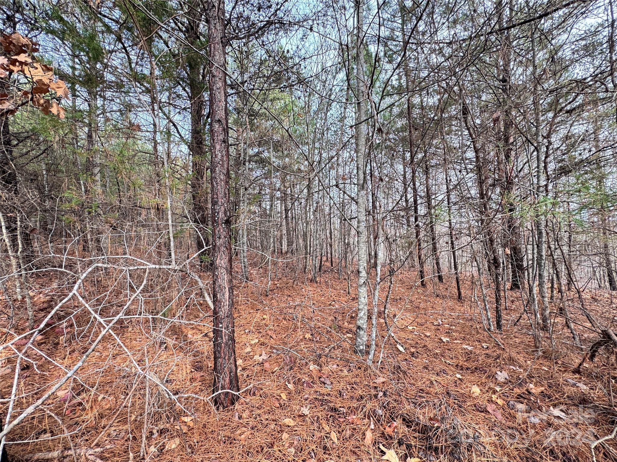 Pleasant View - Land