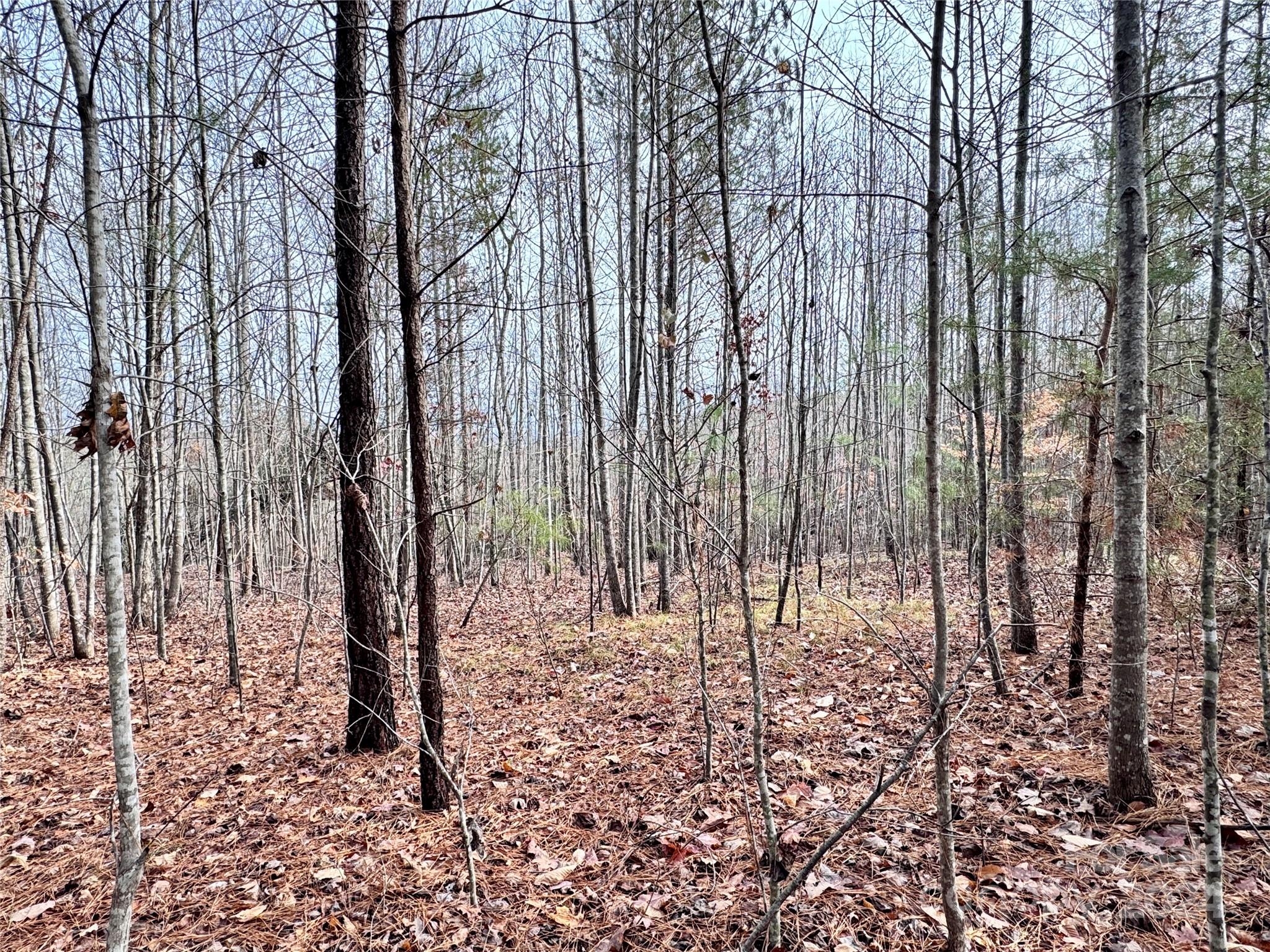 Pleasant View - Land