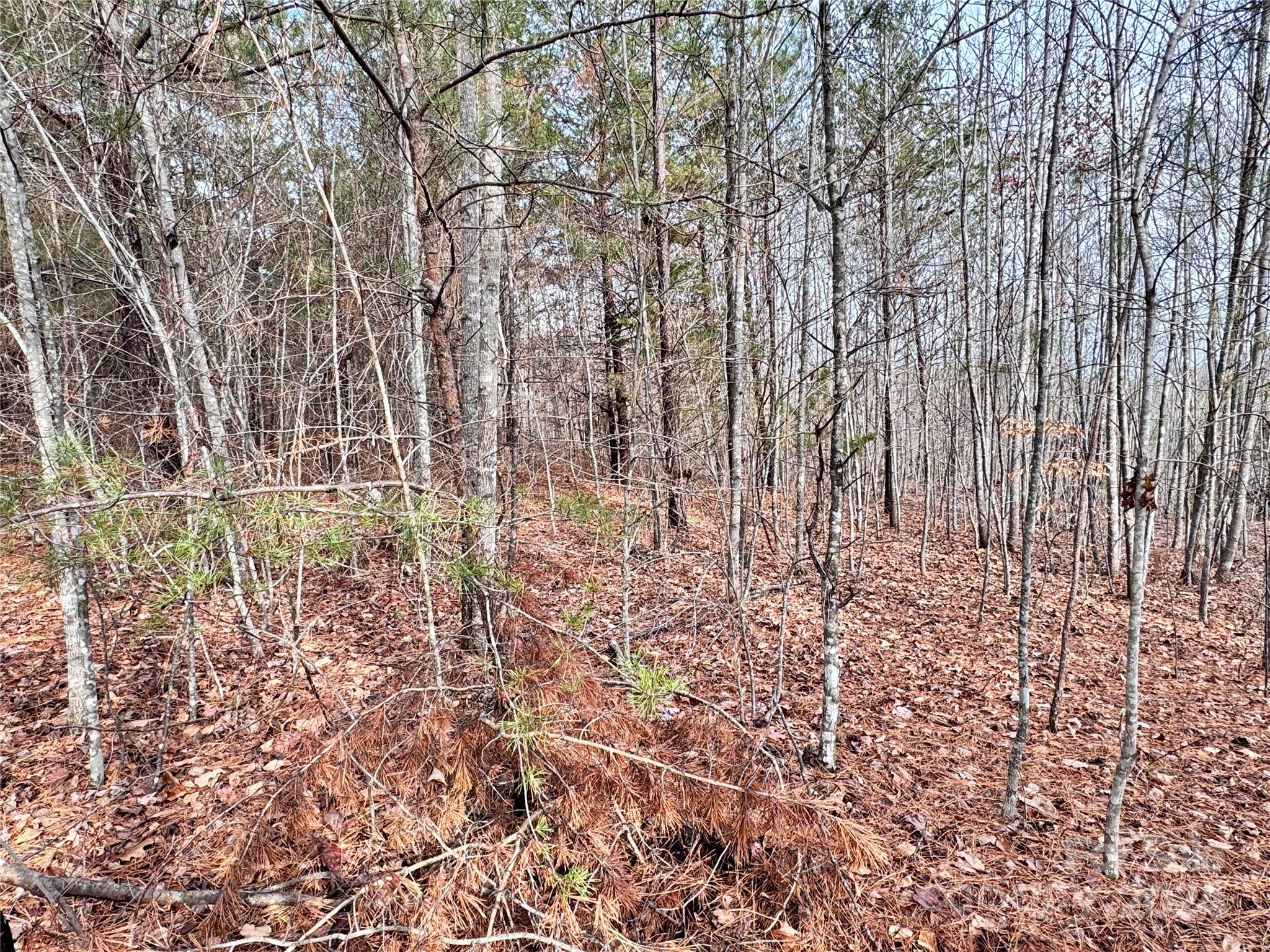 Pleasant View - Land