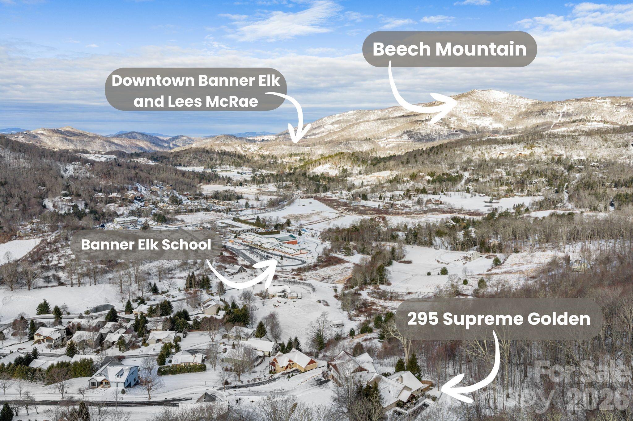 295 Supreme Golden Road