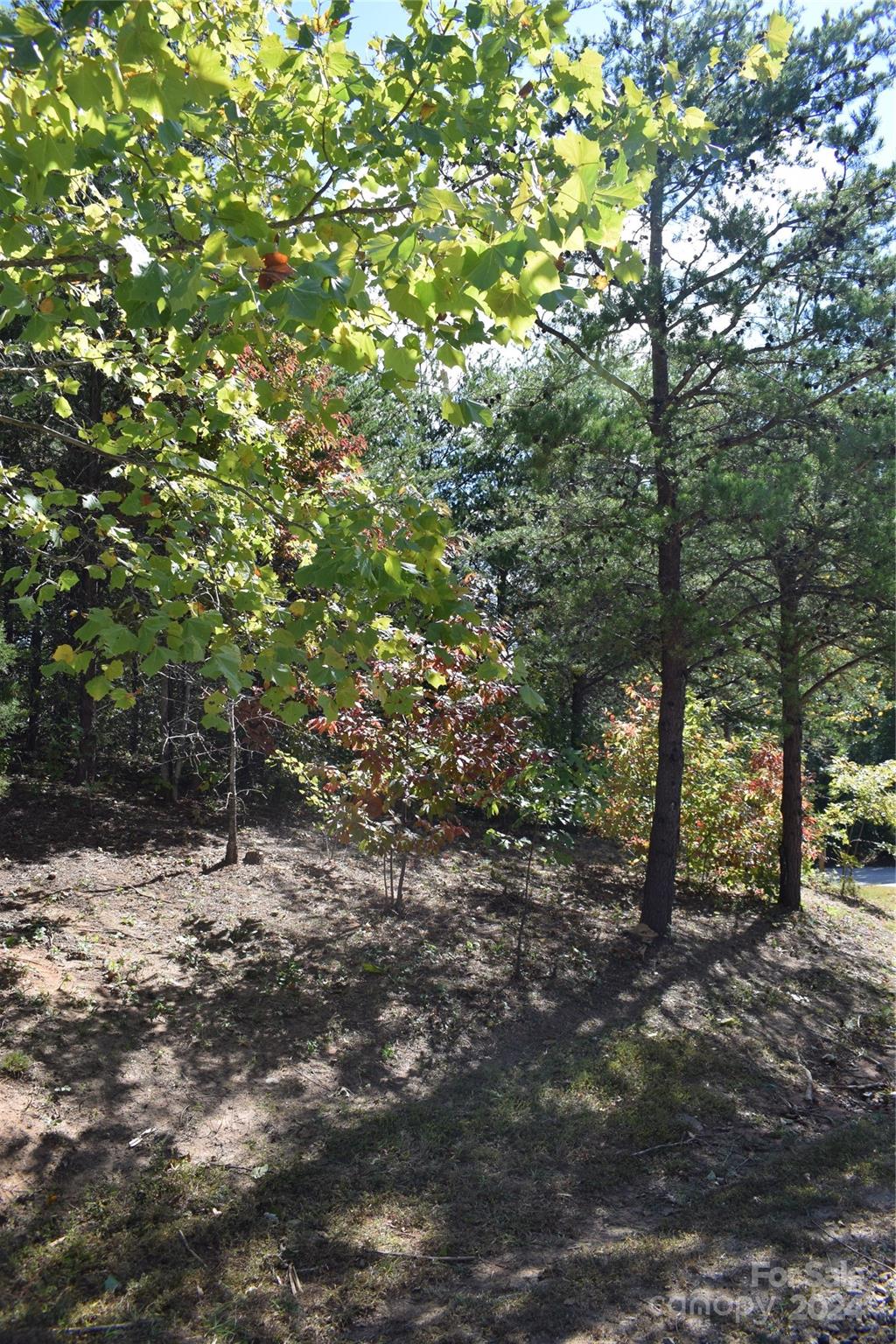 The Sanctuary of Tryon - Land