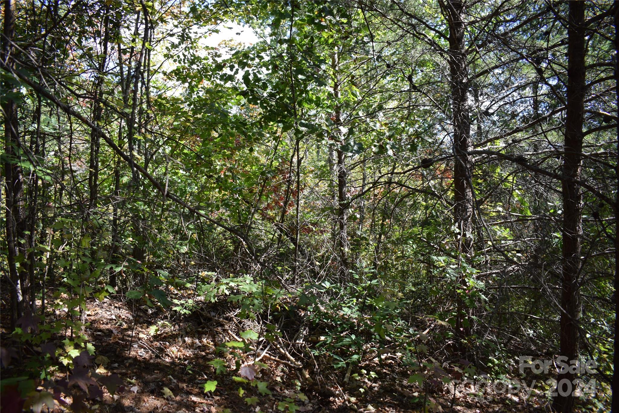 The Sanctuary of Tryon - Land