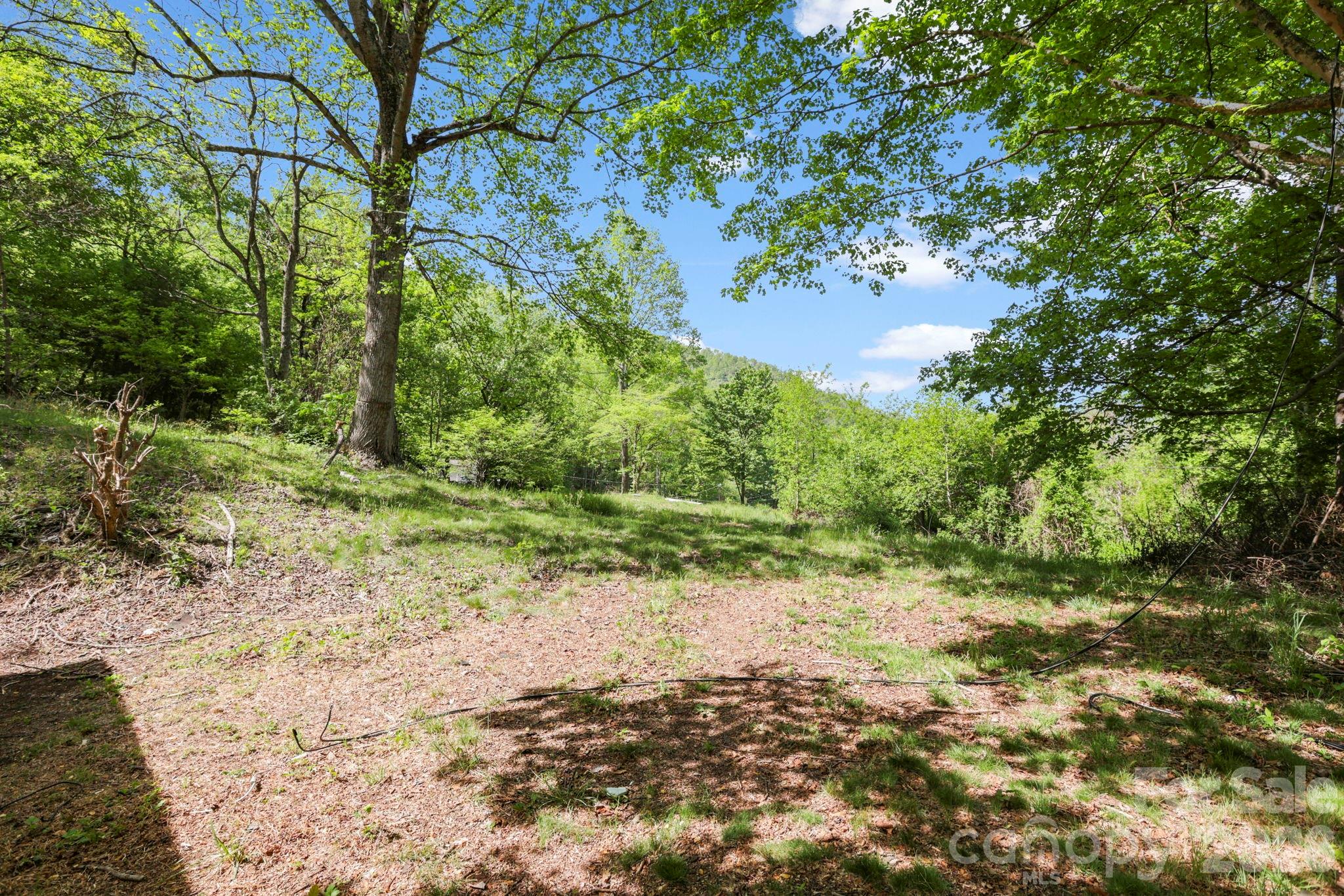 1007 N Fork Road