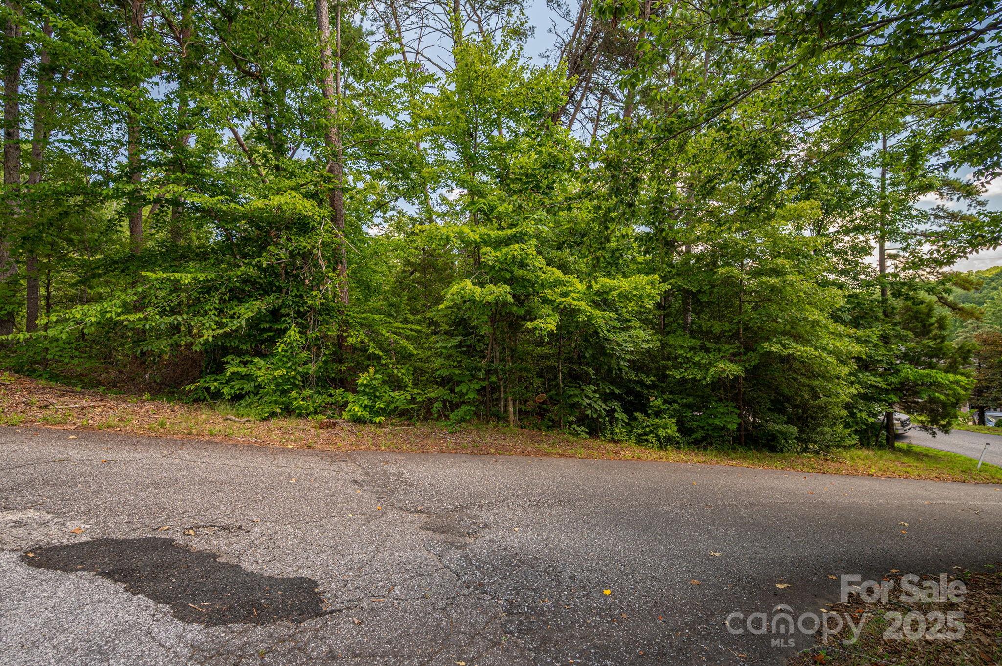 Cleghorn Plantation - Land