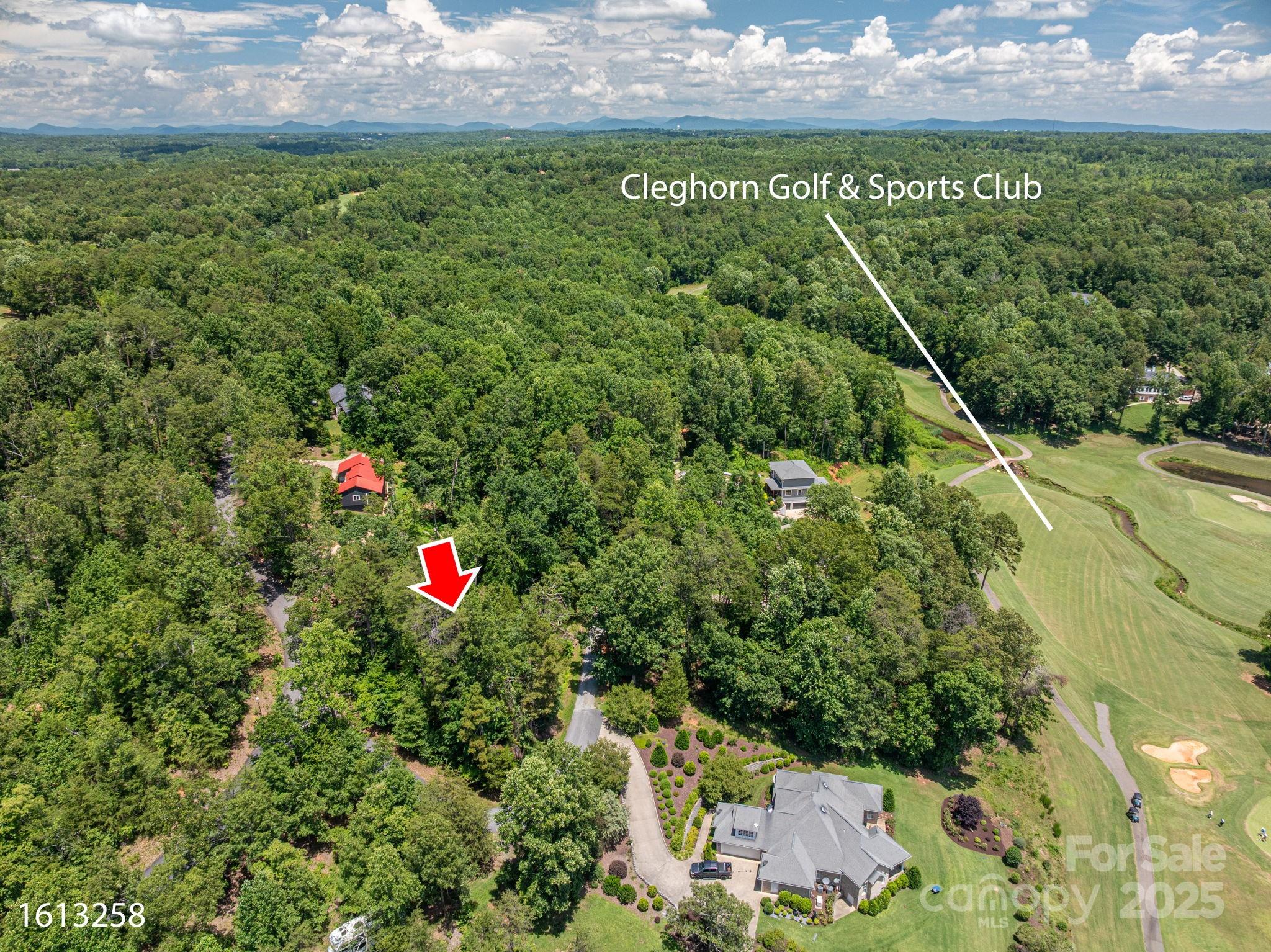 Cleghorn Plantation - Land