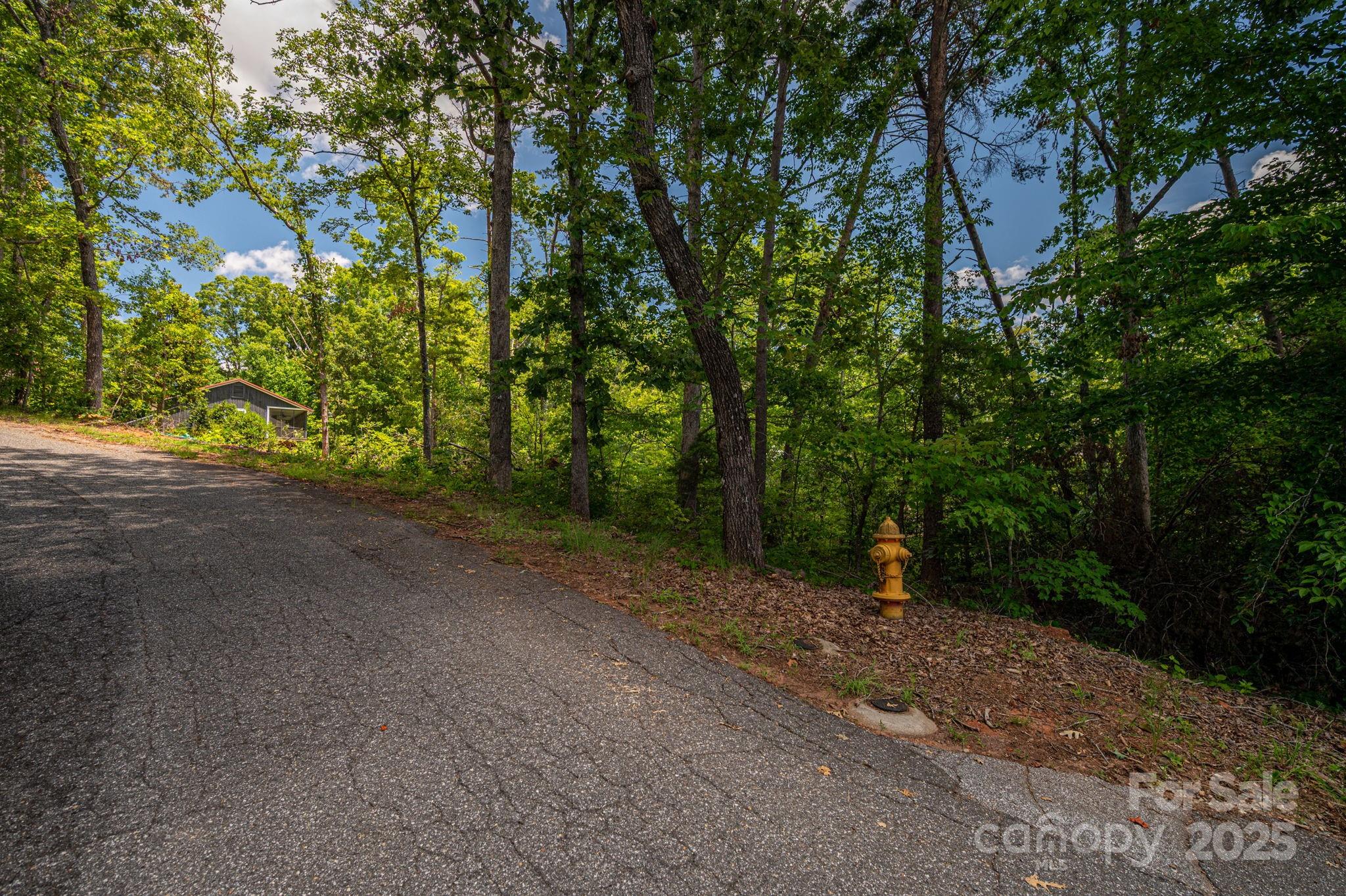 Cleghorn Plantation - Land