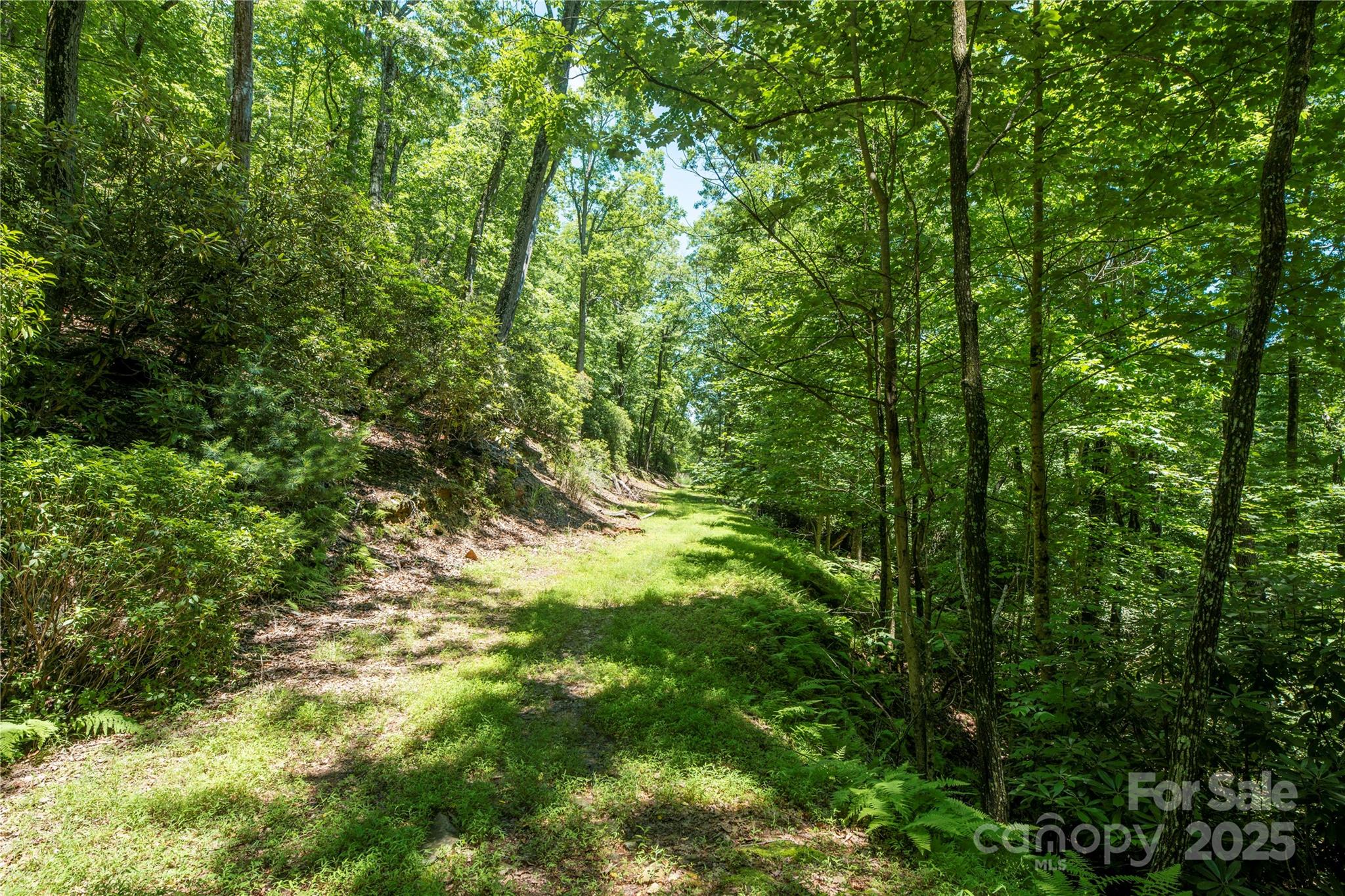 TBD Alpen Rose Way