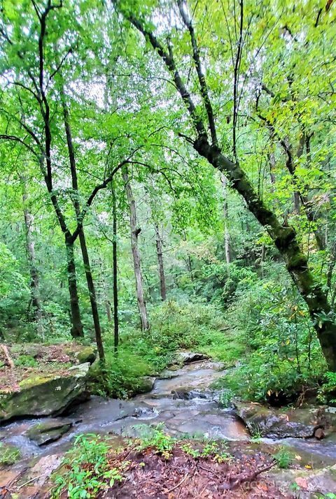 Lot 6 Falls Drive 6 Mill Spring NC 28756