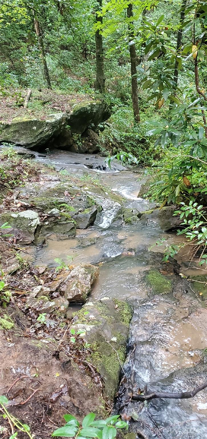 Lot 6 Falls Drive 6