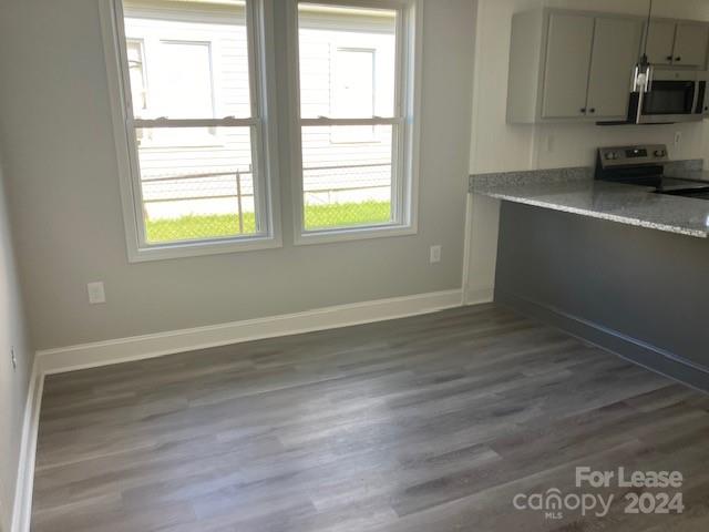 None - Residential Lease