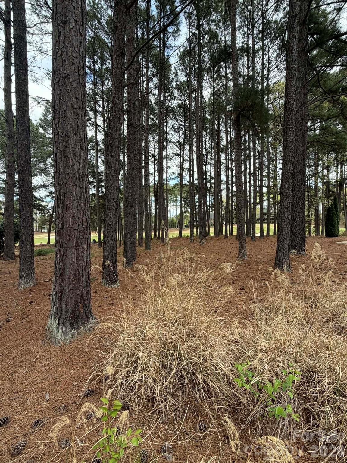 175 Yadkin Falls Road