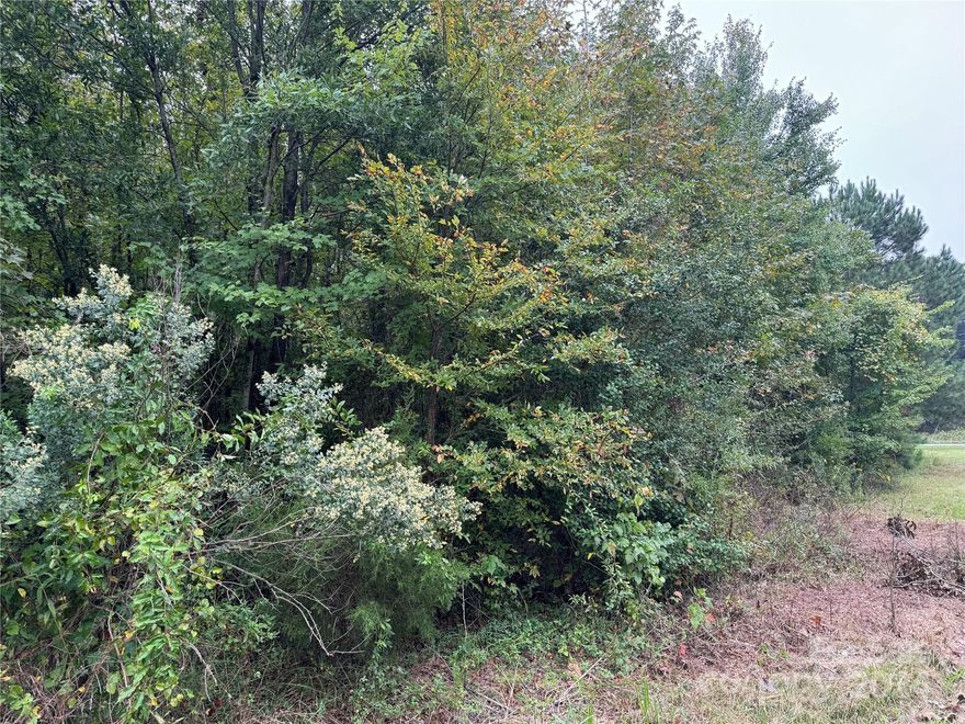 Residential or agricultural acreage available on the corner of Landsford Dr & Philadelphia Church Rd.
Wonderful 13.32 acres of flat wooded land.  This is a corner lot with nearly 1000 ft road frontage on both Landsford Rd and Philadelphia Rd.  There is an approx 1000sf cinder block building on the 
property in "as is" condition.  Well and septic currently on property.  
From Charlotte take Hwy 74 toward Monroe - bear right onto Hwy 601 - go approx 11 miles turning left onto Landsford Dr - Go 3 miles property located on your left - see signage
Call Listing Agent or Co-Listing Agent for more information