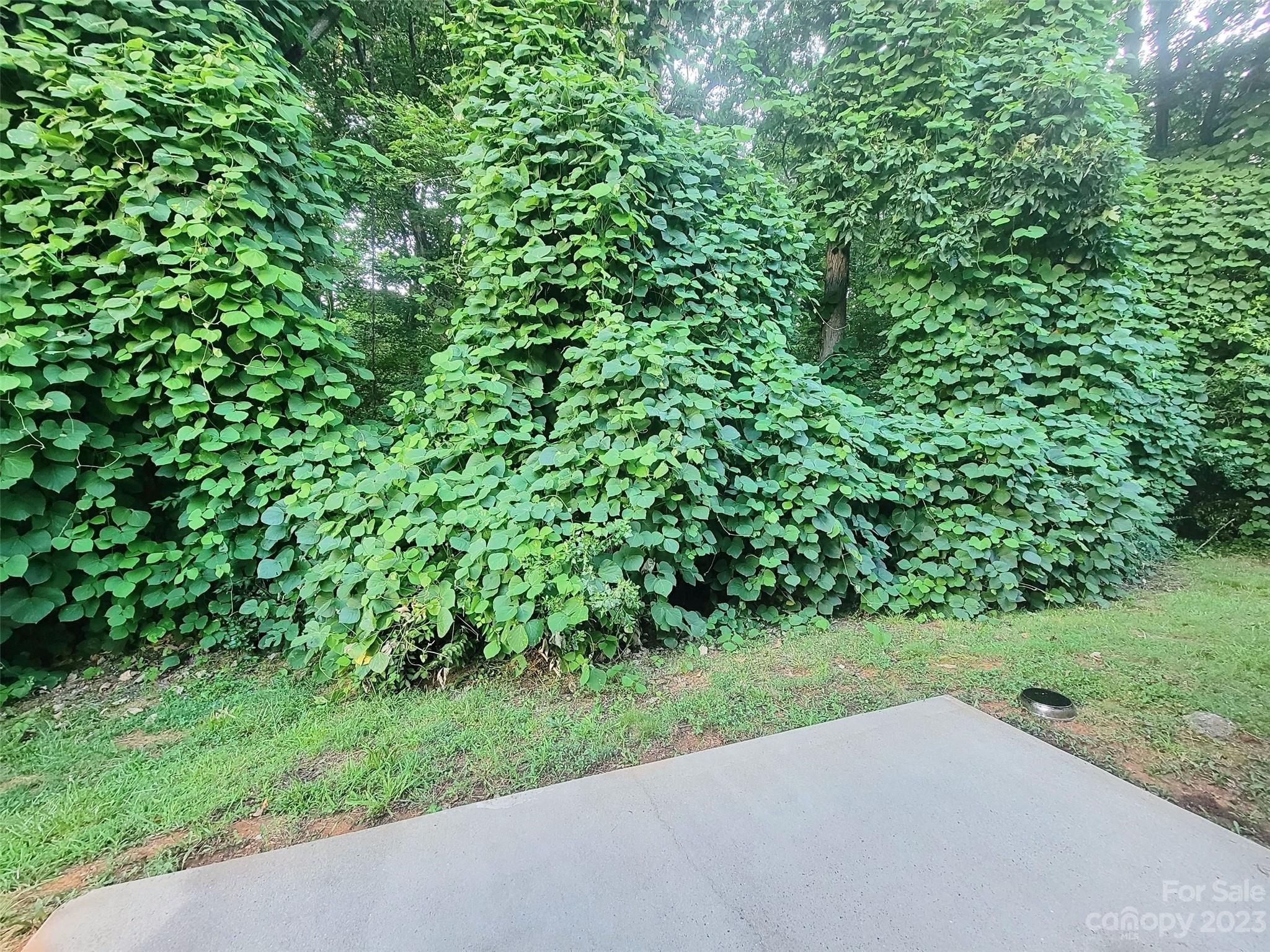 Griers Grove - Residential