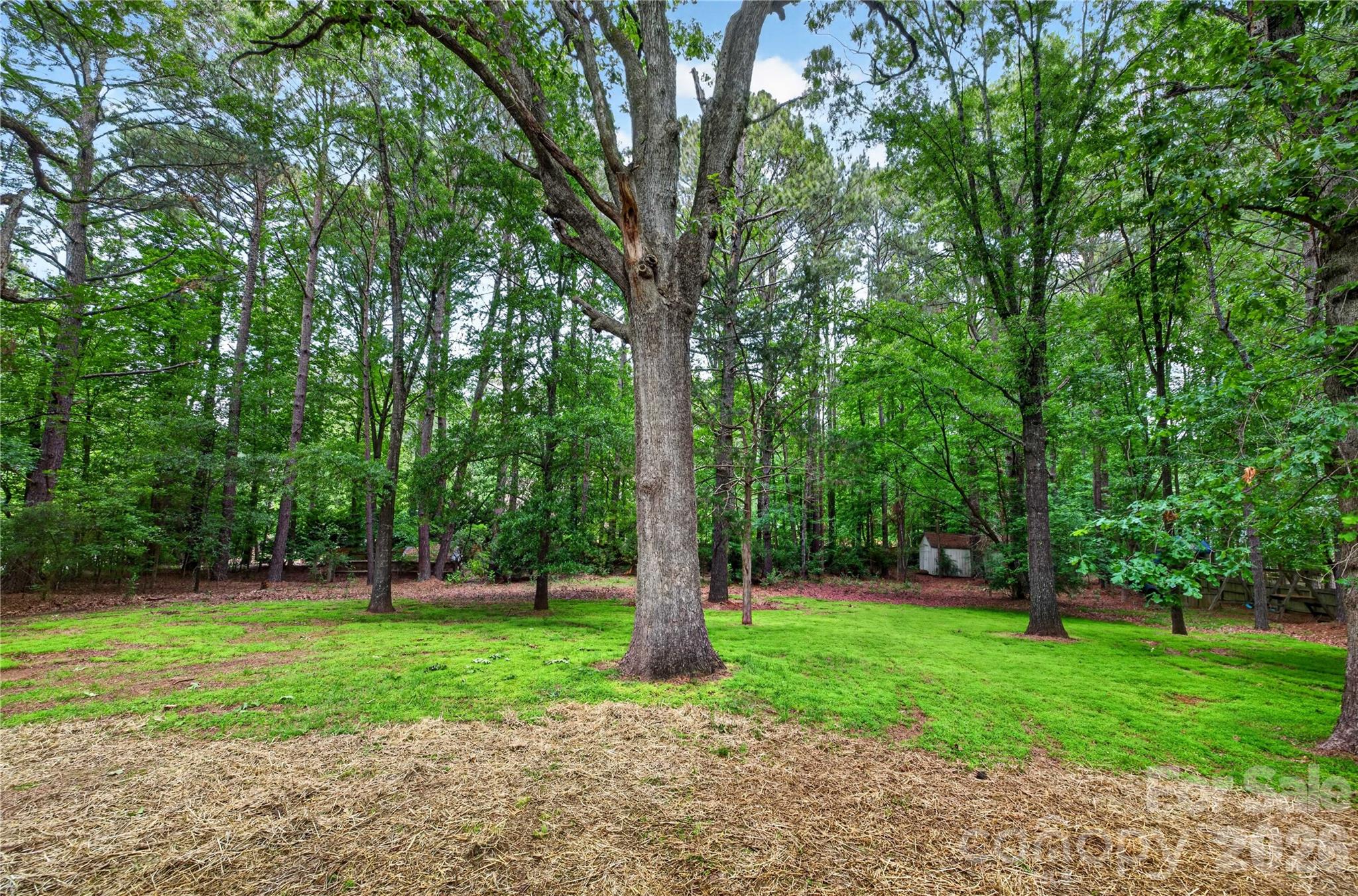 6424 Antioch Court