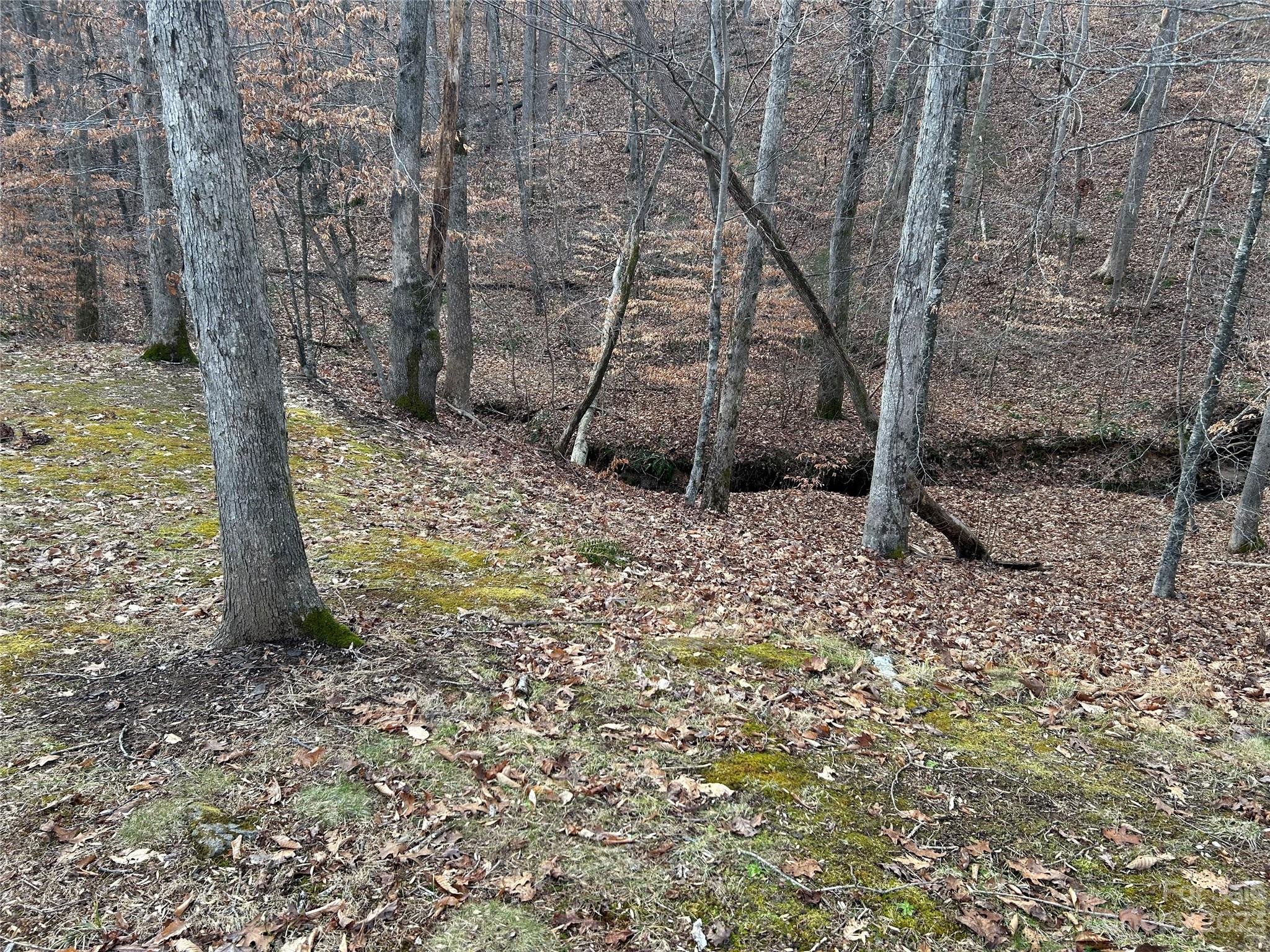 ClearWater Creek - Residential