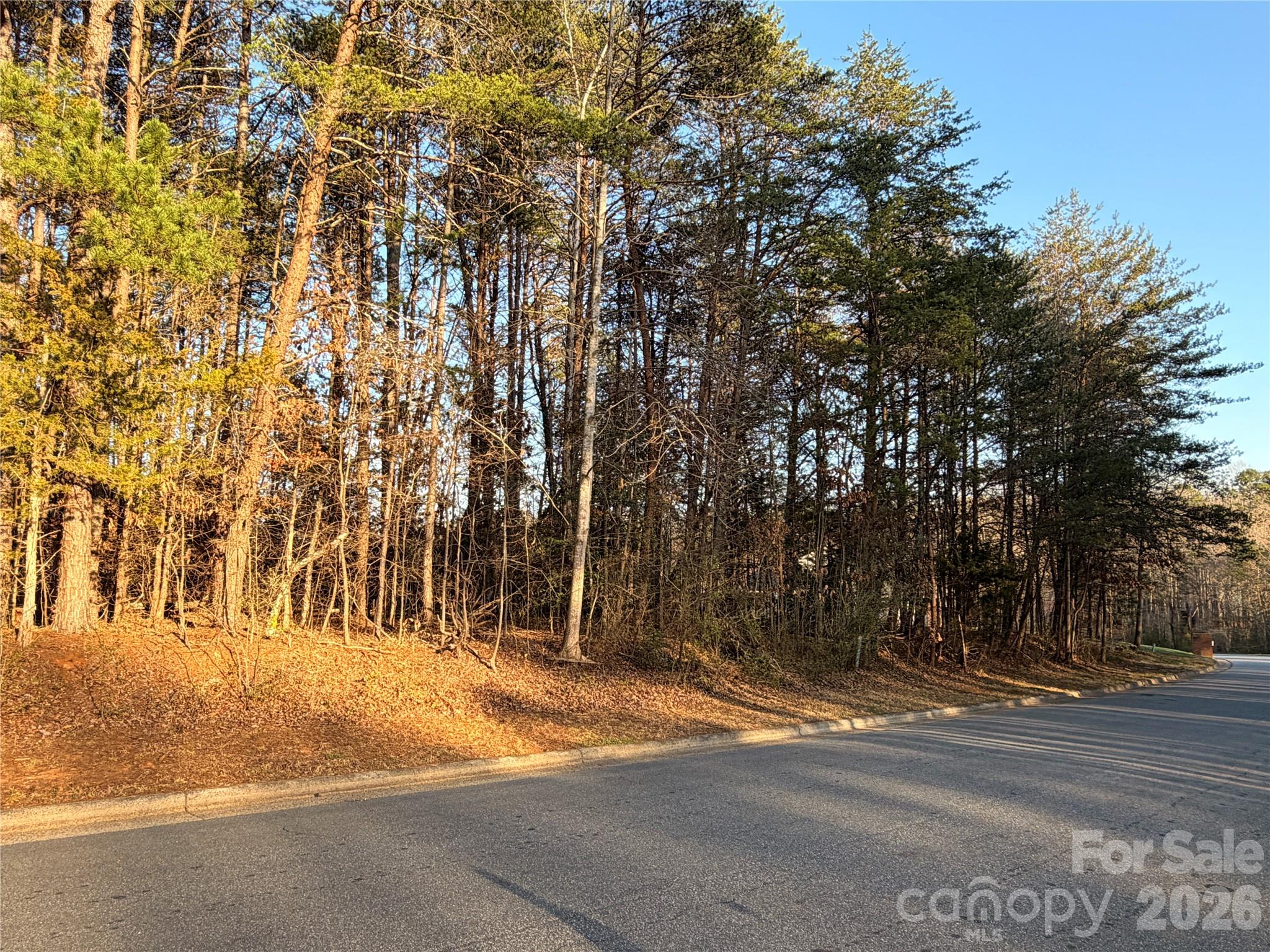 Catawba Springs - Land