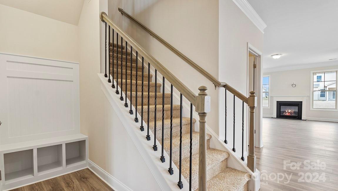 Cantrell Hills - Residential