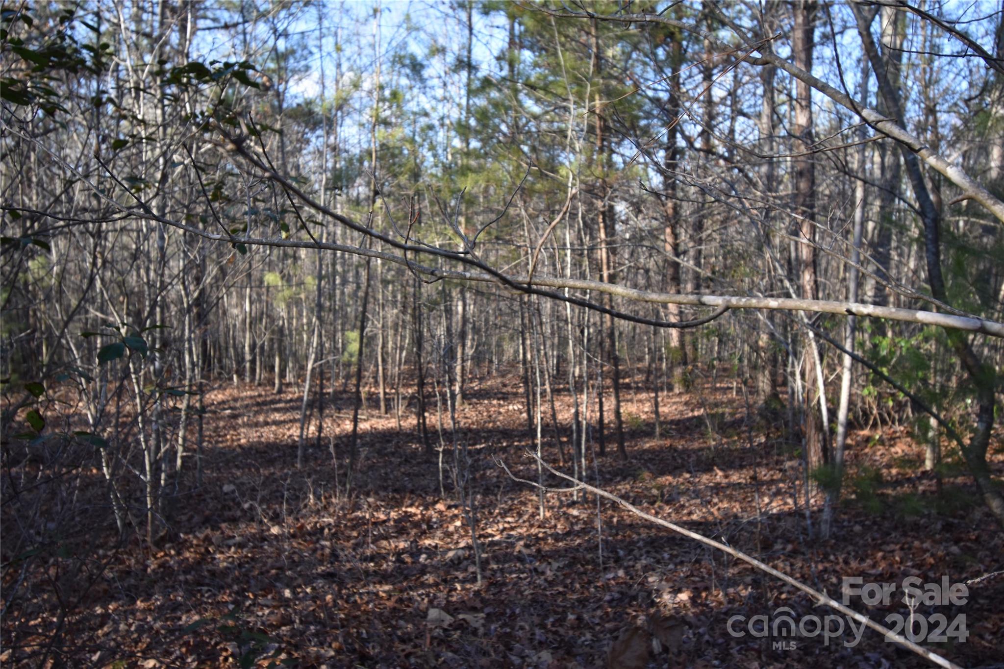 Lot 74 Tayberry Drive