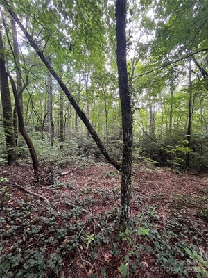 100 GREENLEAF DR, FLAT ROCK, NC 28731 - Image ea2138e3693ea4748bba49432105e42e/281304500