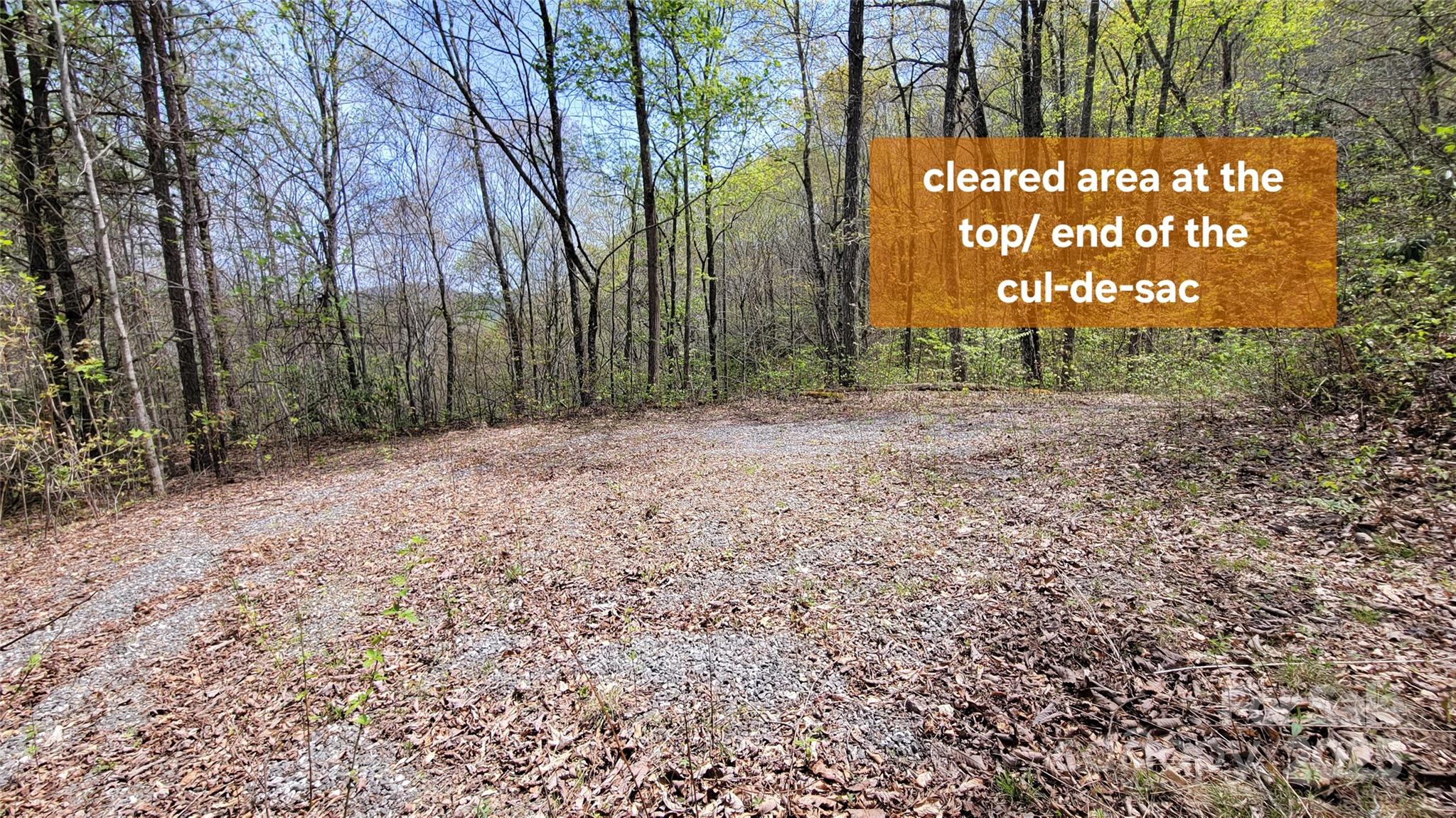 25 Lacy Fern Ridge 25