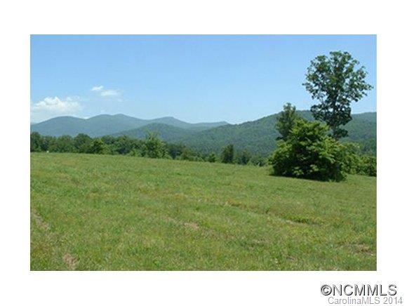 Reems Creek Village - Land