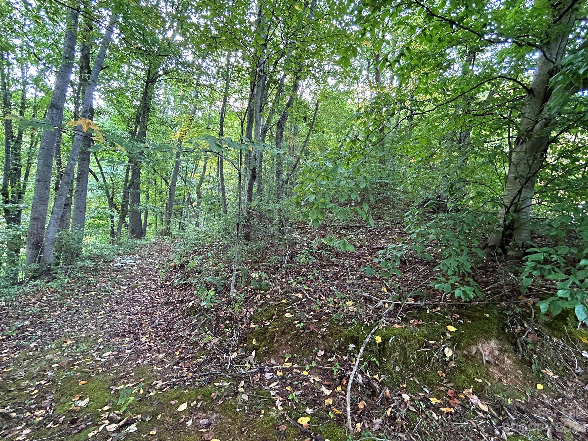 Lindon Cove Crossing - Land