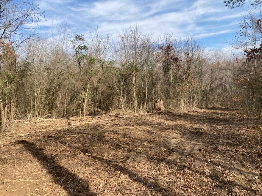 Here it is!!  22.416 acres to build your dream estate, family compound or for investors to buy and subdivide the property.  Hard to find acreage in this amazing location.  Not far from Oakridge Middle School and close to shopping, restaurants and schools. (Clover award winning Schools) Easy access to NC.  The Location has the country feel but close to all thats happening in the growing Lake Wylie area. The parcel is located between 996 & 1098 Riddle Mill Rd. If you don't already have a builder, we can recommed a few great builders that can help you build that perfect home!!