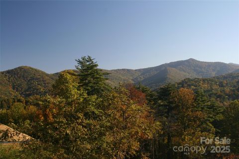 68 Wolfebridge Lane 16 Asheville NC 28804