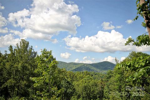 68 Wolfebridge Lane 16 Asheville NC 28804