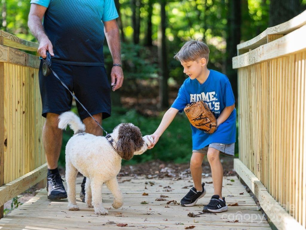 Southbridge - Residential