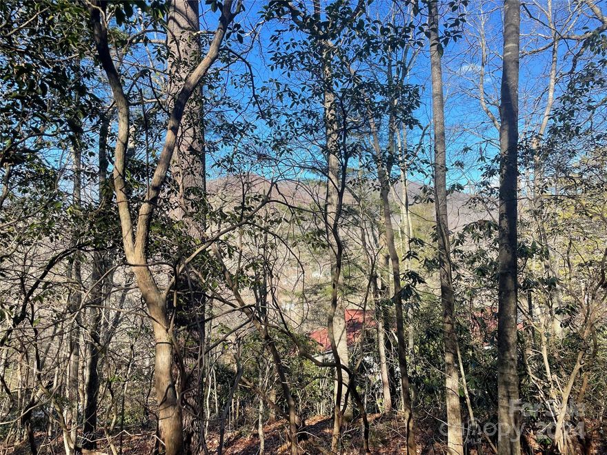 Two lovely lots with mountain level winter views are situated just minutes away from downtown Black Mountain.  Investors take note. Buyer to confirm possible sewer connection.