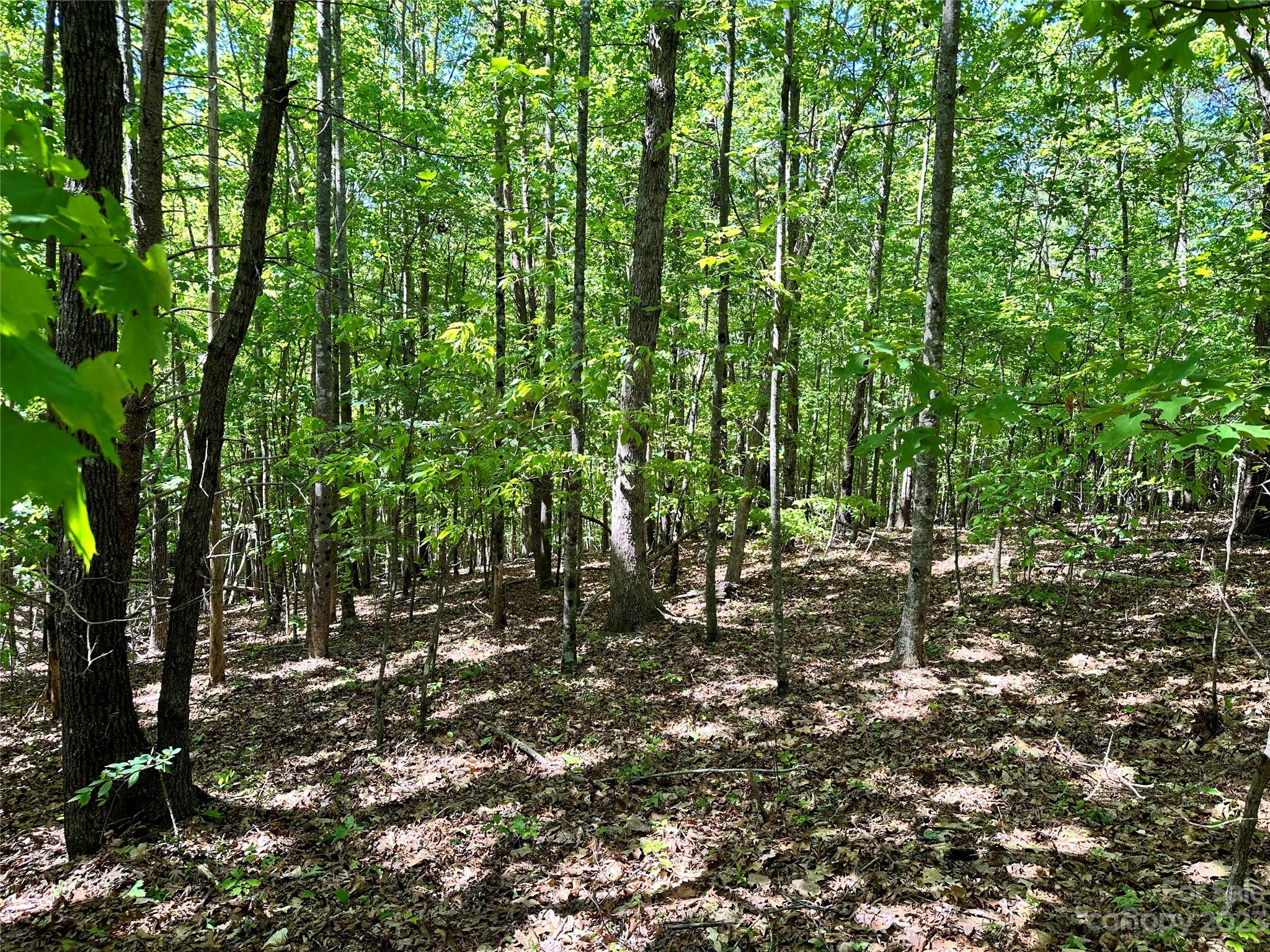 South Mountain Peaks - Land