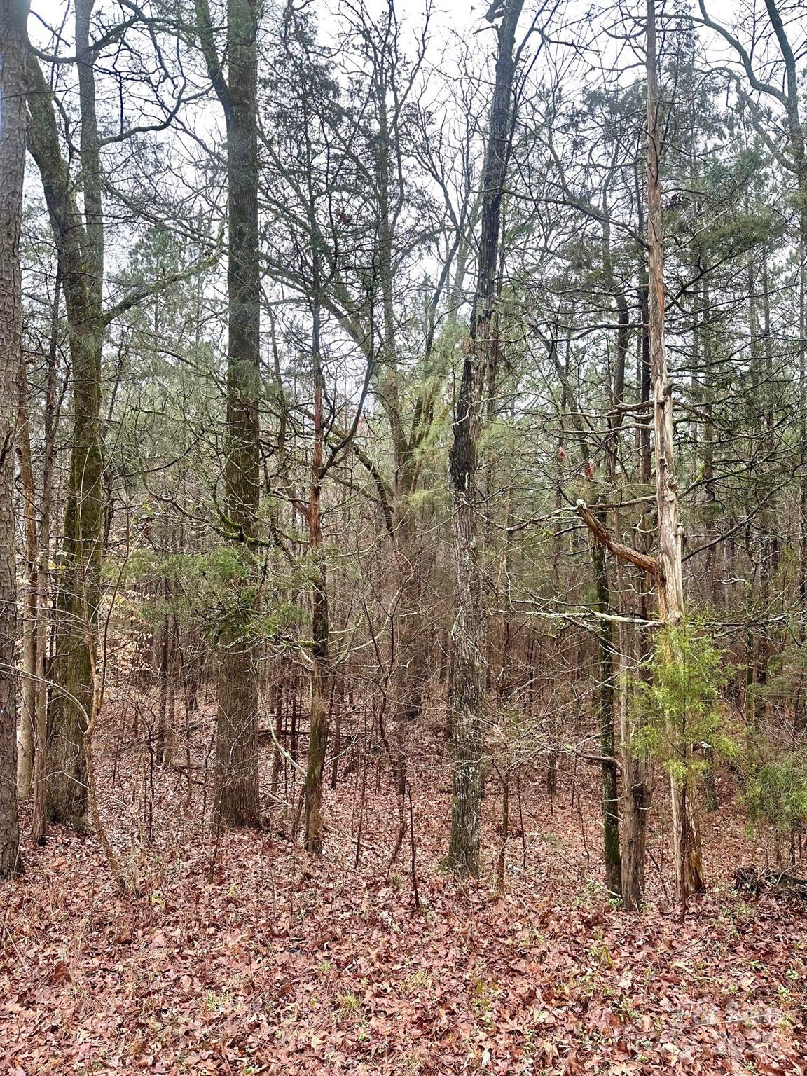 1176 Great Falls Highway