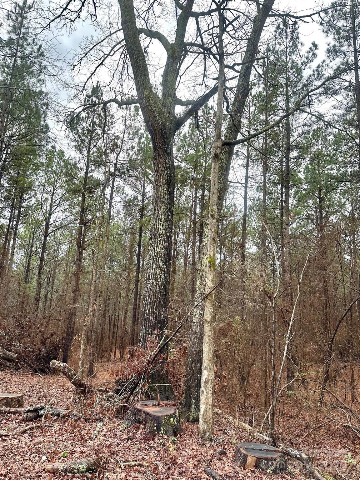 1176 Great Falls Highway