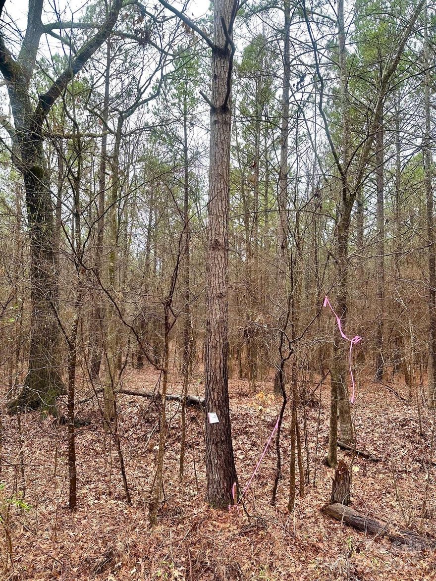 A custom home builder is offering a 5.84 +/- acre mini farm near I-77, perfect for building your dream home. The site features 380 feet of road frontage and plenty of trees for privacy. With the current soil conditions, the property can support up to a six-bedroom home. Construction financing is available for qualified buyers with an approved down payment. This property includes parcel IDs 091-00-00-093.000 and 093-00-00-095.000. The homesite boasts beautiful hardwoods, other trees, gentle slopes, and multiple building sites. It's an ideal opportunity for a mini farm primary home or a primary home with an additional dwelling unit (ADU). Don’t miss out on this fantastic opportunity!