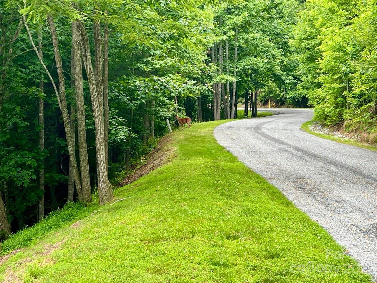 150 Thistlewynd Trail