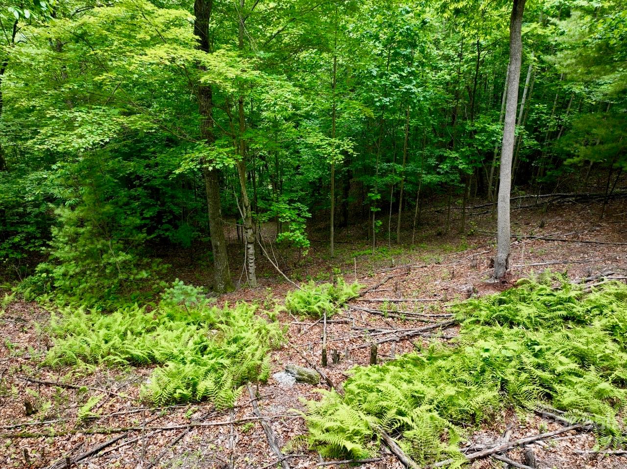 150 Thistlewynd Trail