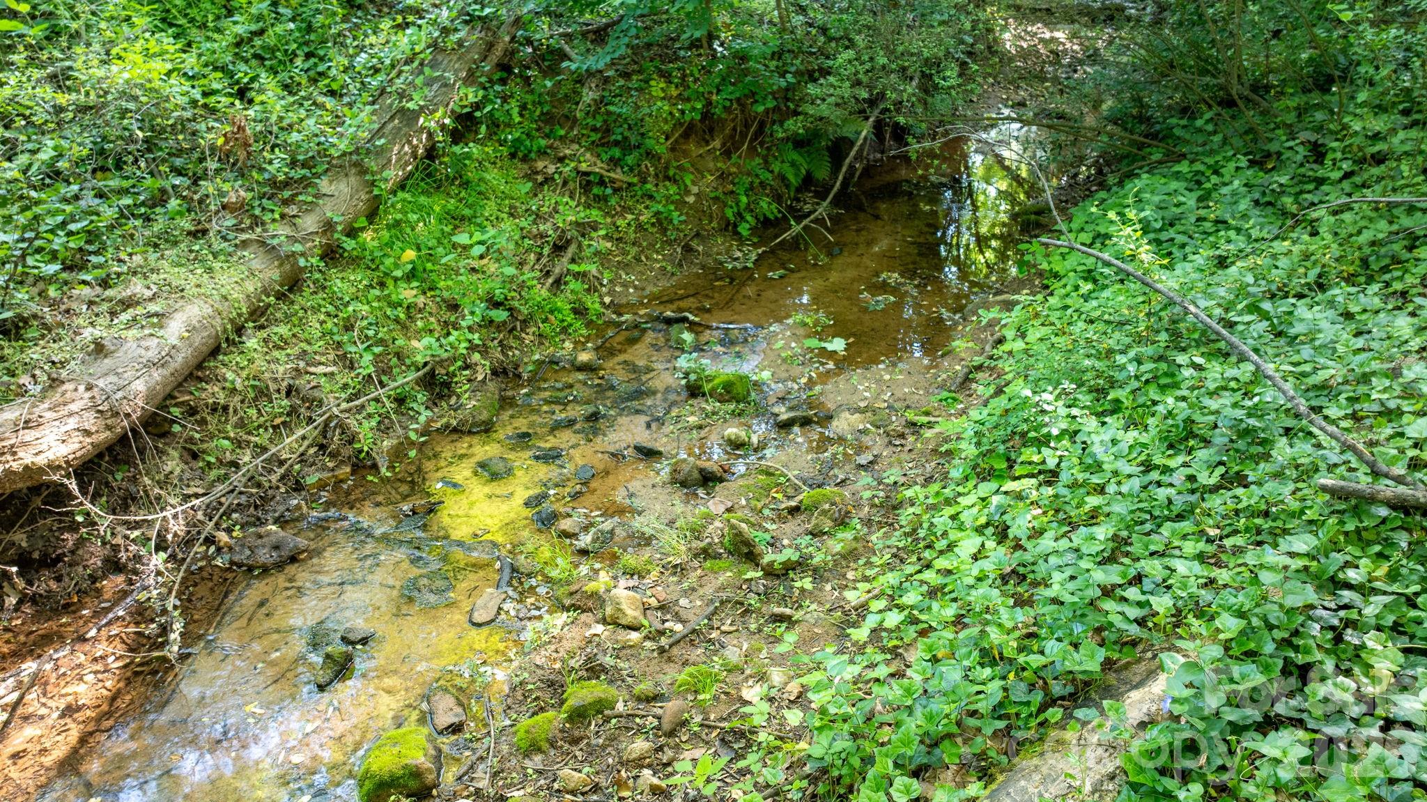 Mountain Brook - Residential