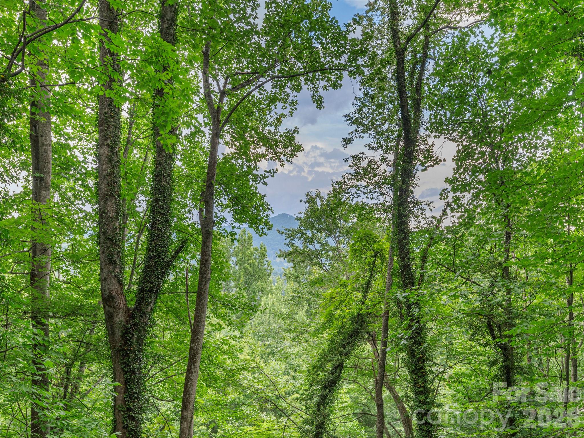 212 Torda Trace