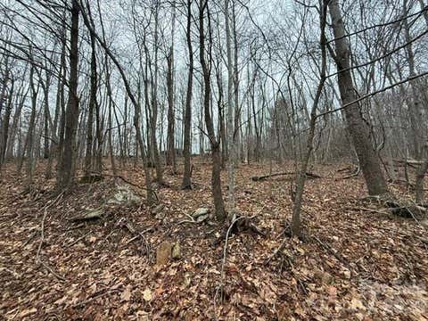 Photo of 0 Cove Gap Road #2, Moravian Falls, NC 28654 (MLS # 4407974)