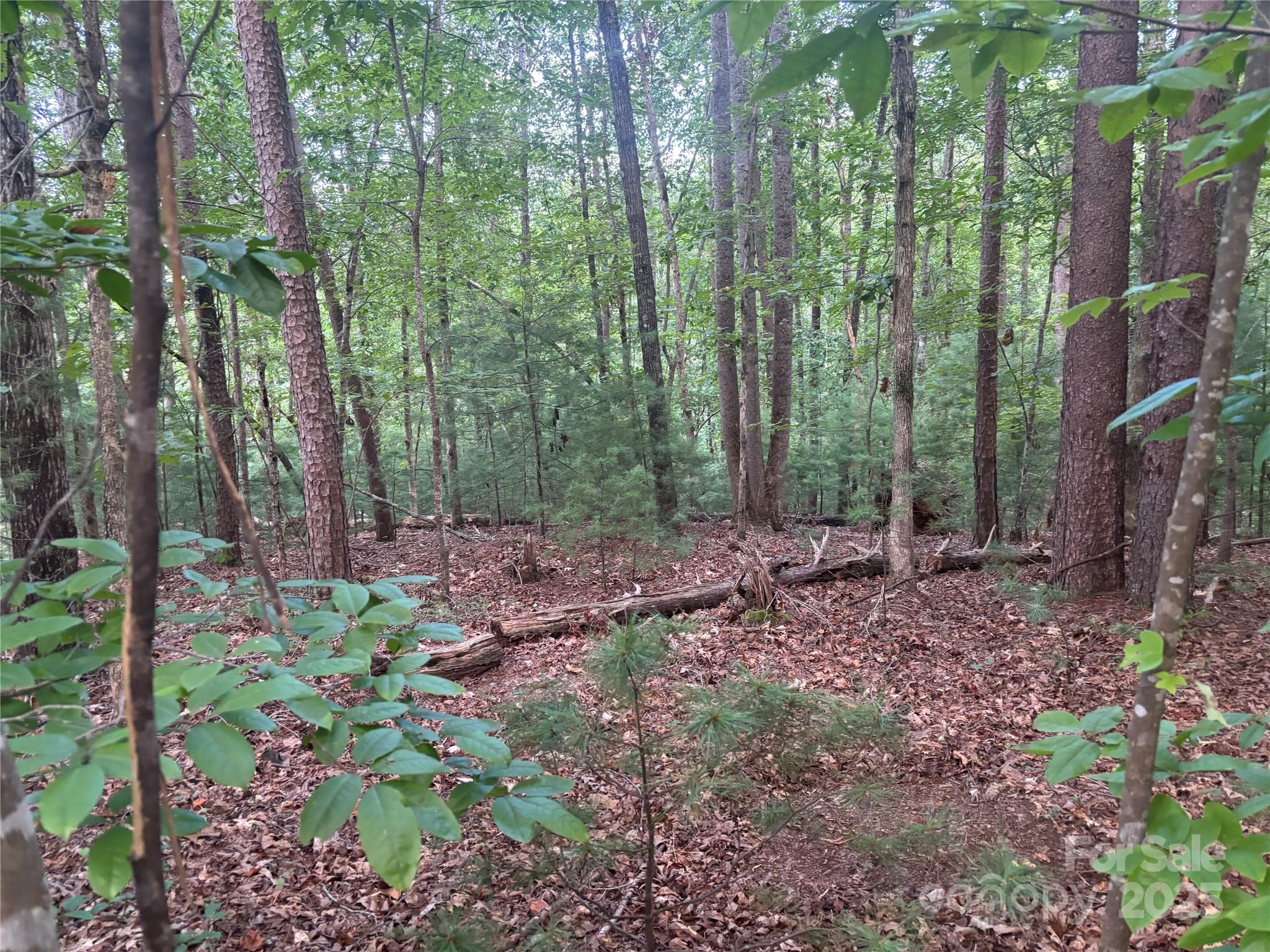 lots 11/12 South Pointe Road