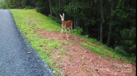 lots 11/12 South Pointe Road Mill Spring NC 28756