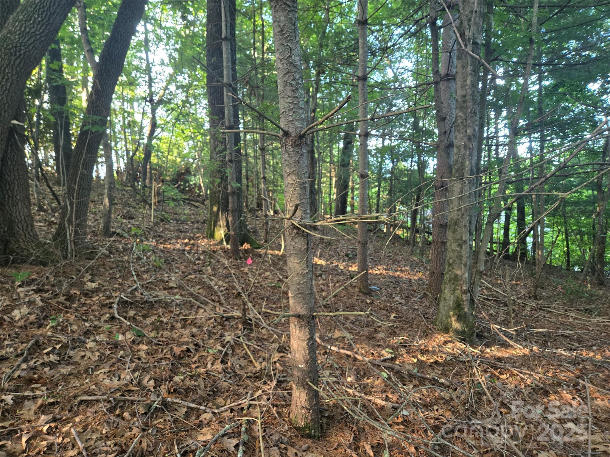 Lot 42 Shadecrest Lane
