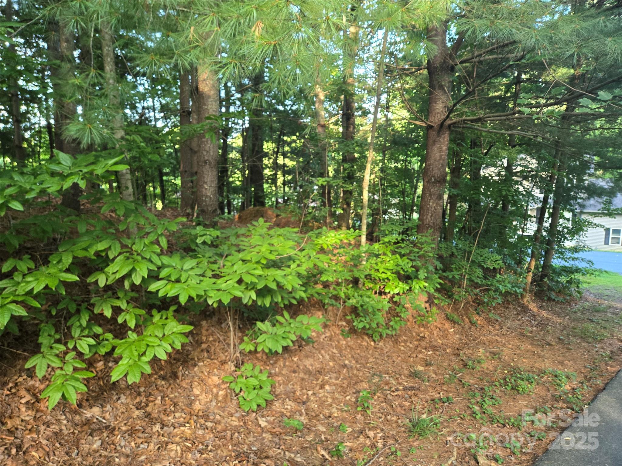 Lot 42 Shadecrest Lane