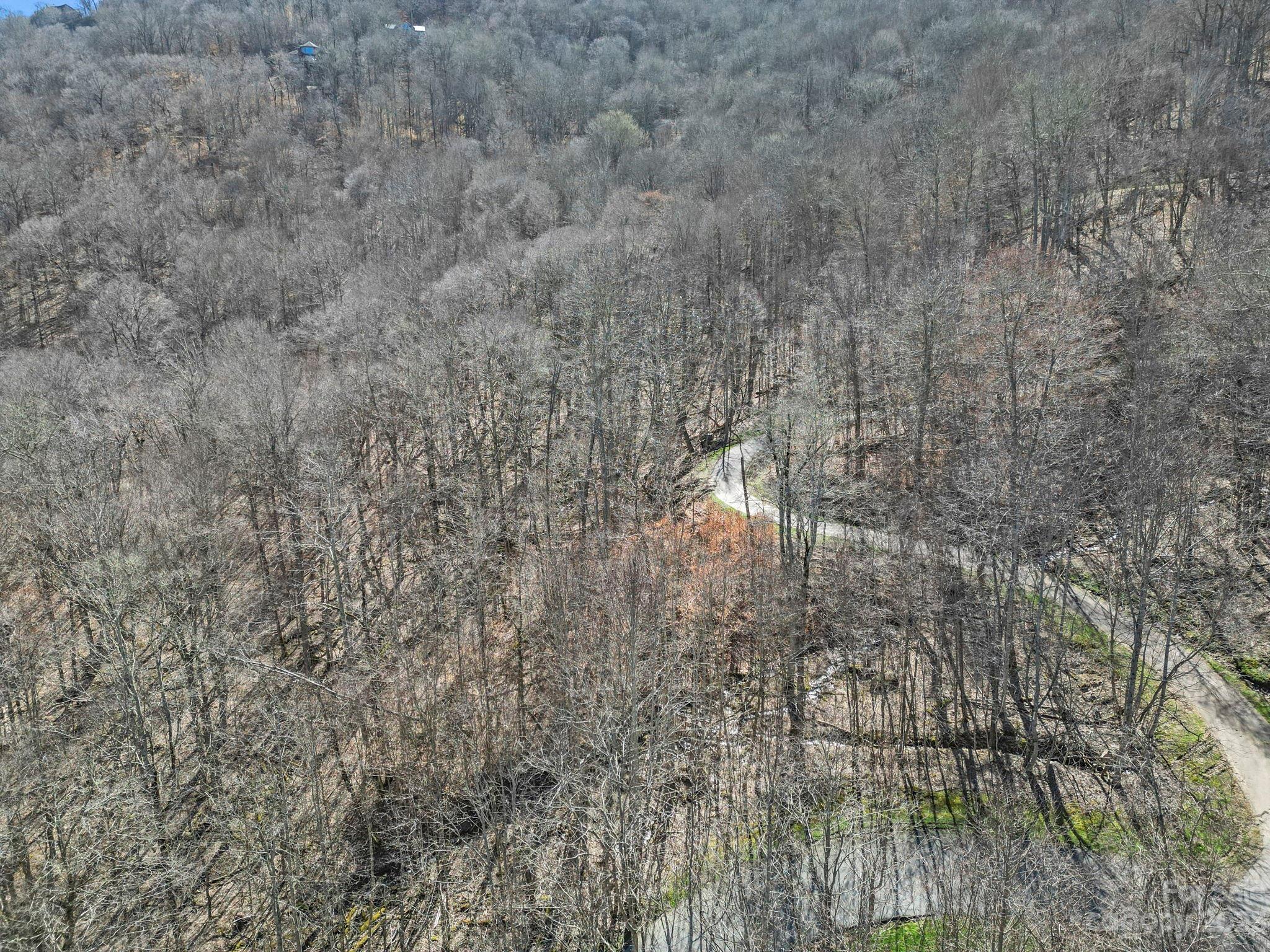 18 Chestnut Village Lane #18