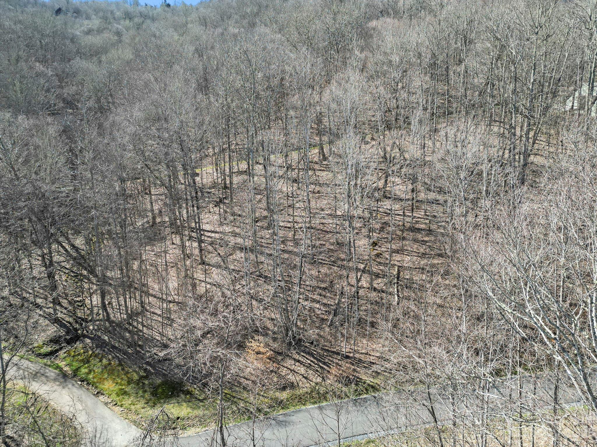 18 Chestnut Village Lane #18