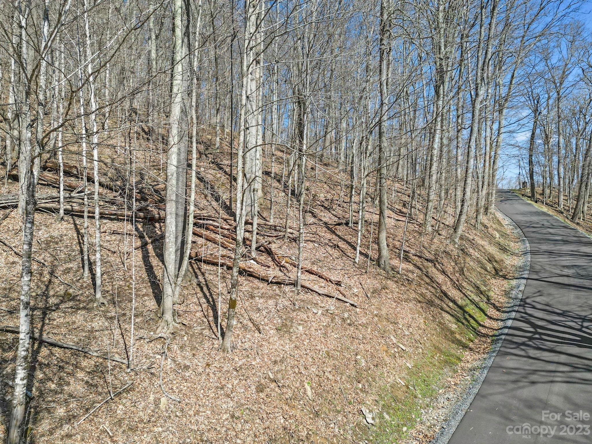 18 Chestnut Village Lane #18