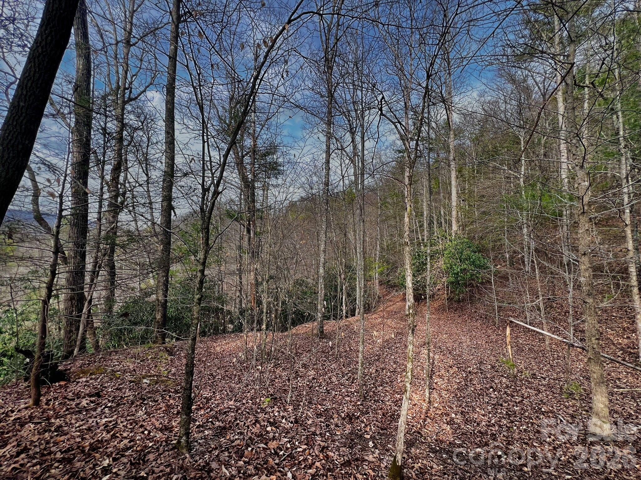 Lot 127 Bear River Lodge Trail