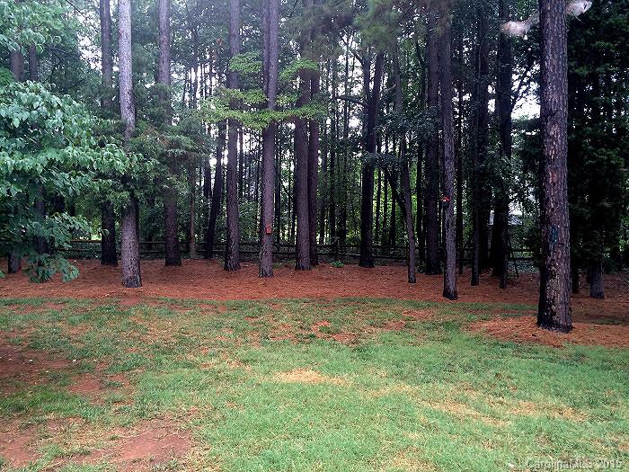 Morgan Landing - Residential Lease