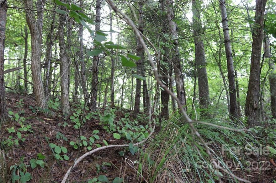 Approx. 3.50 acres of private wooded land with open use zoning.  One or two building spots with mountain views possible.  Previous owner cut out space for a basement.  Property borders Bartlett Road but ROW access in on Marshbanks Ridge off Bartlett Rd.  ROW driveway road bed is in making easier access to the property.  Convenient location to everything.  Just 10 minutes to downtown Weaverville and 7 minutes to downtown Mars Hill.